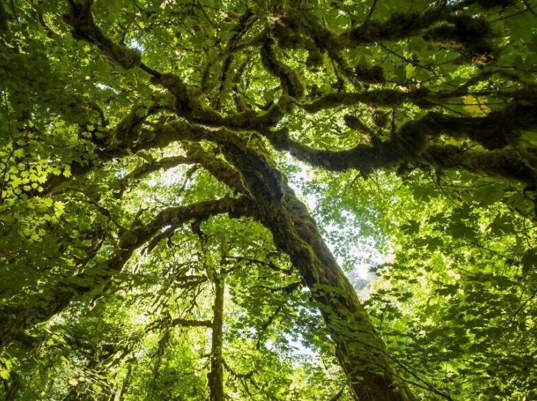 フードサプライ事業